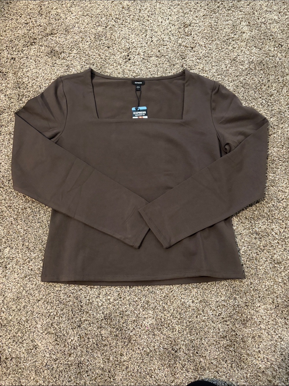Express Brown Square Neck Long Sleeve Top